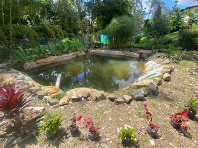 Finca en  Venta en El carmen de viboral - Miniatura 15