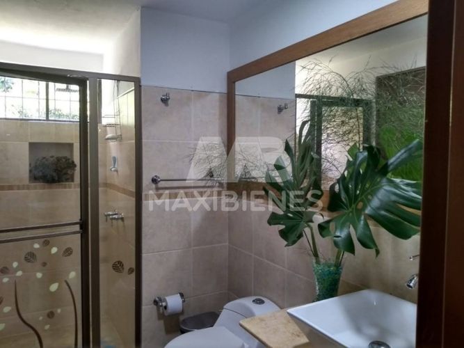 Finca en  Arriendo en El tambo, La ceja - Miniatura 16