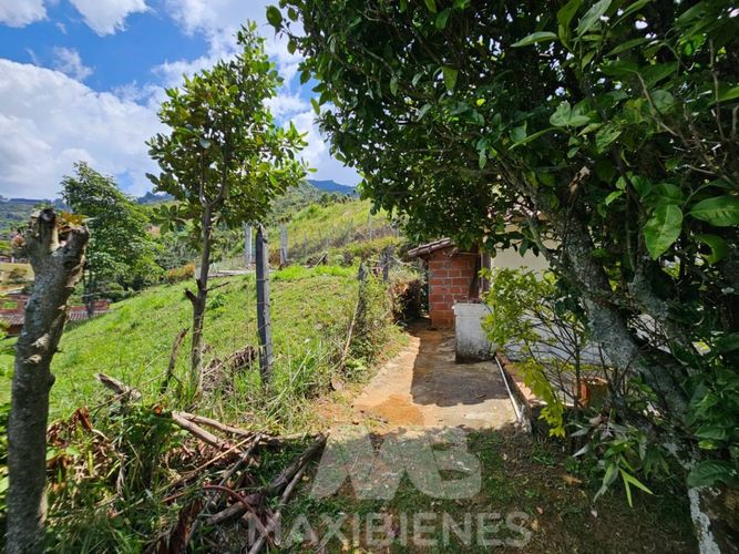Finca en  Arriendo en Monta�ita, Copacabana - Miniatura 24