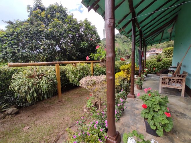 Finca en  Arriendo en Centro, Girardota - Miniatura 14
