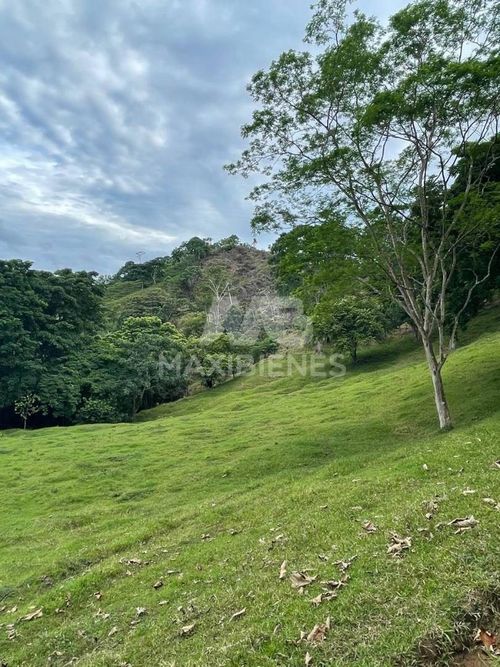 Finca en  Arriendo - Miniatura 3