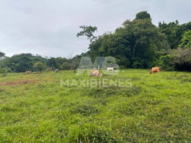 Finca en  Arriendo - Miniatura 6