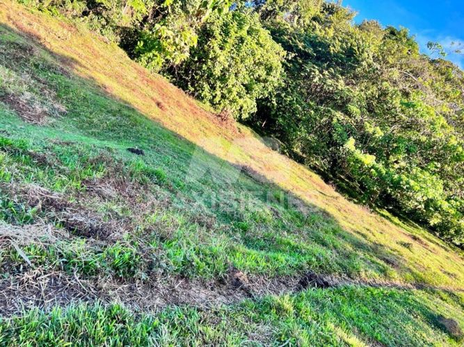 Finca en  Arriendo - Miniatura 10