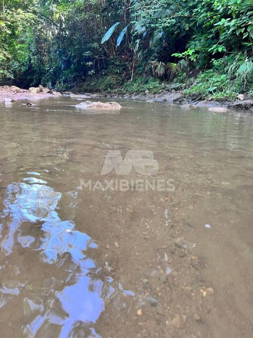 Finca en  Arriendo - Miniatura 11