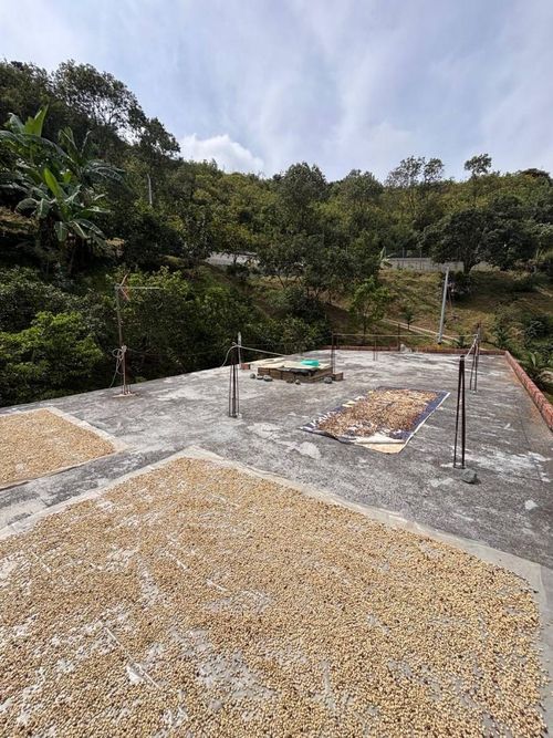 Casa en  Venta en Sector central, Medellín - Miniatura 23