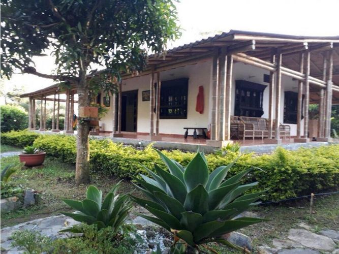 Finca en  Venta en Cualamana, Melgar - Miniatura 11