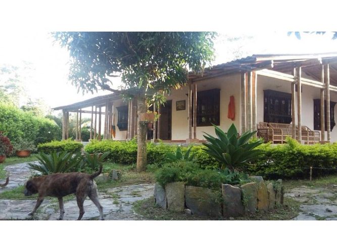 Finca en  Venta en Cualamana, Melgar - Miniatura 16