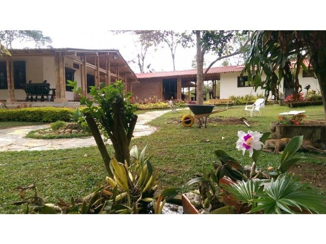 Finca en  Venta en Cualamana, Melgar - Miniatura 26