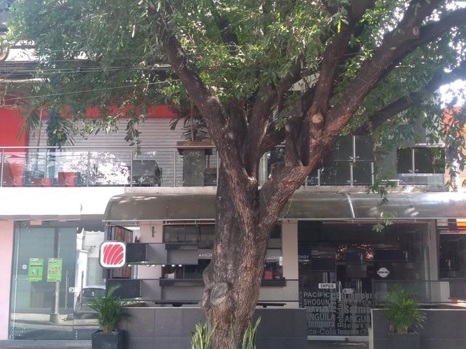Edificio en  Venta en Caobos, Cúcuta - Miniatura 18