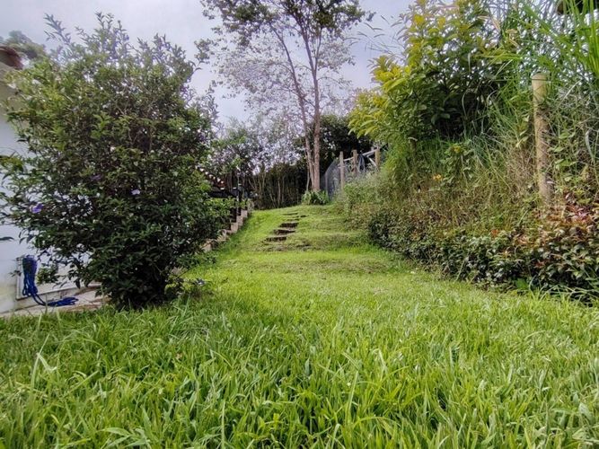 Finca en  Arriendo en Barro blanco, Rionegro - Miniatura 21