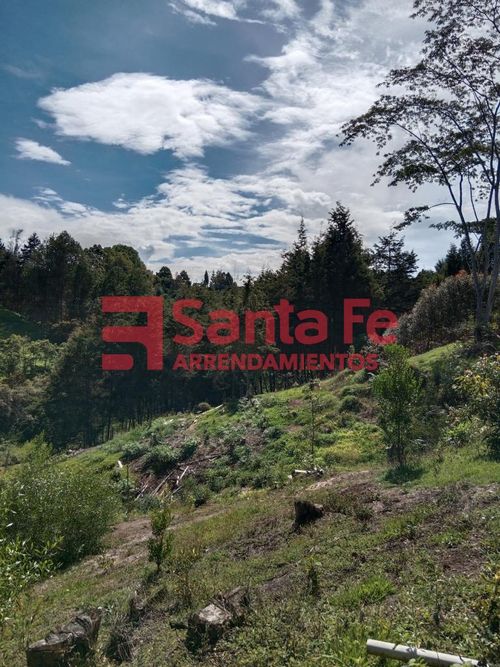 Finca en  Arriendo en Rionegro - Miniatura 26