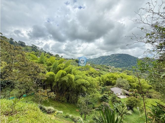 Finca en  Venta en Pereira, Santa rosa de cabal - Miniatura 19
