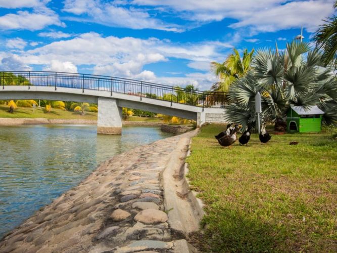 Apartaestudio en  Arriendo en Las palmas, Neiva - Miniatura 3