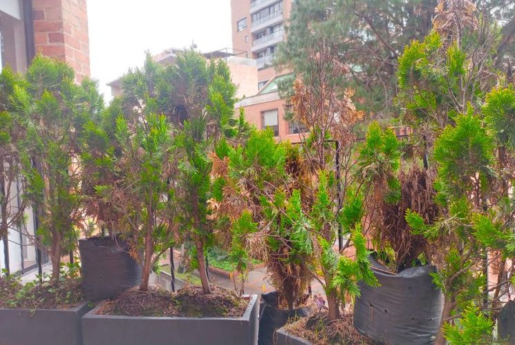 Apartaestudio en  Arriendo en Chicó Reservado, Bogotá - Miniatura 17