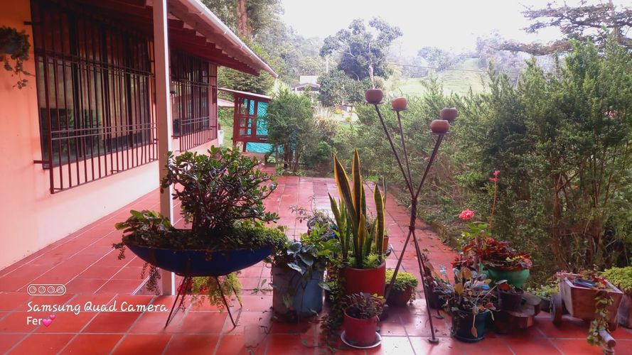 Finca en  Venta en San francisco - Miniatura 5