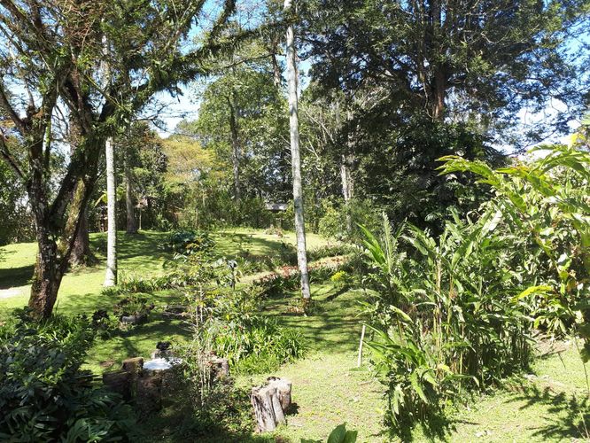 Finca en  Venta en San francisco - Miniatura 16