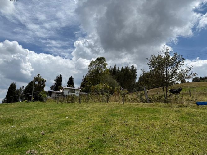 Finca en  Venta en Paipa - Miniatura 5