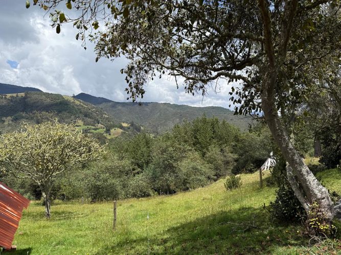 Finca en  Venta en Paipa - Miniatura 23
