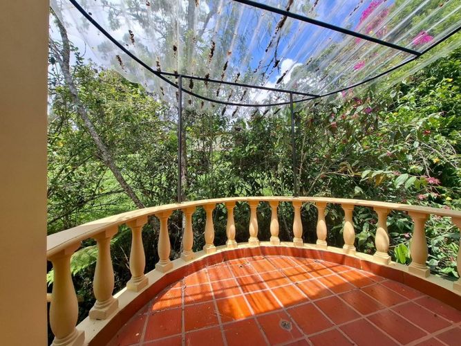 Finca en  Arriendo en Cuchillas de san jose, Rionegro - Miniatura 17