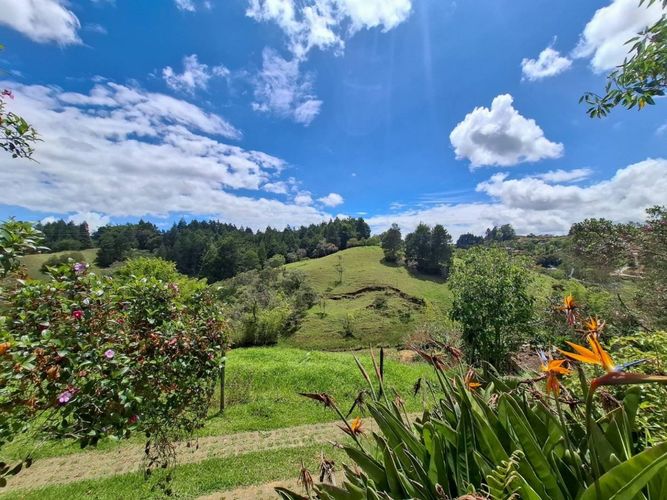 Finca en  Arriendo en Cuchillas de san jose, Rionegro - Miniatura 21