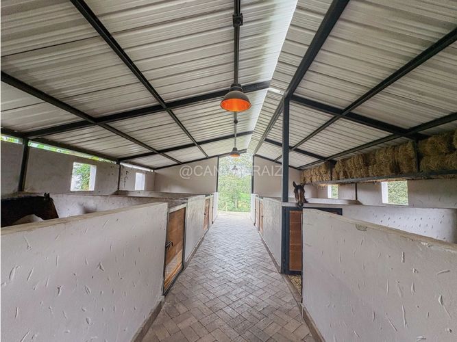 Finca en  Venta en Pontezuela, Rionegro - Miniatura 24