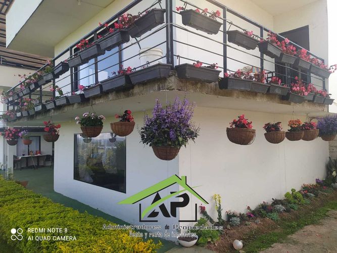 Finca en  Arriendo en Peñol - Miniatura 9