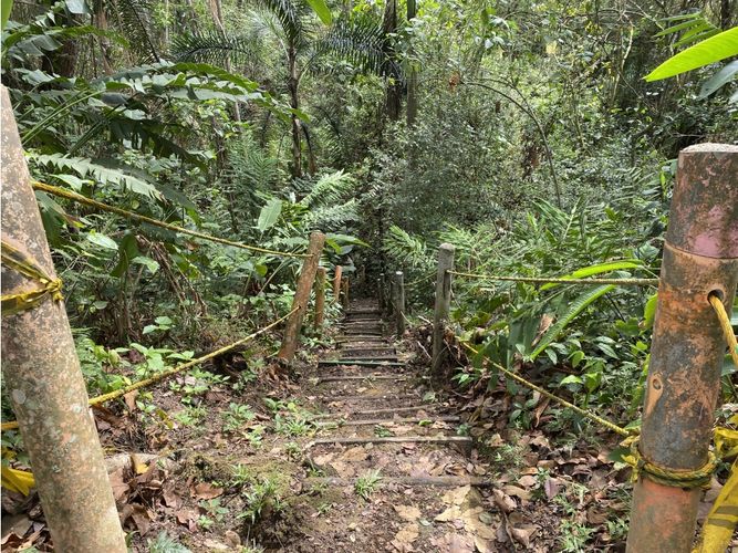 Finca en  Venta en Villeta - Miniatura 26