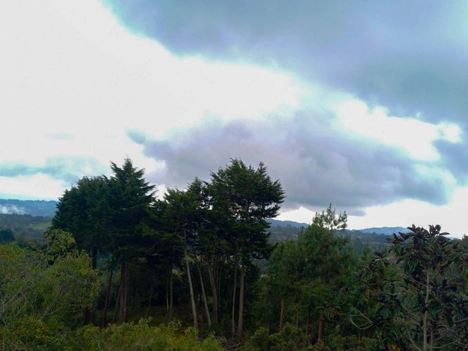 Finca en  Venta en Santa Elena, Medellín - Miniatura 10