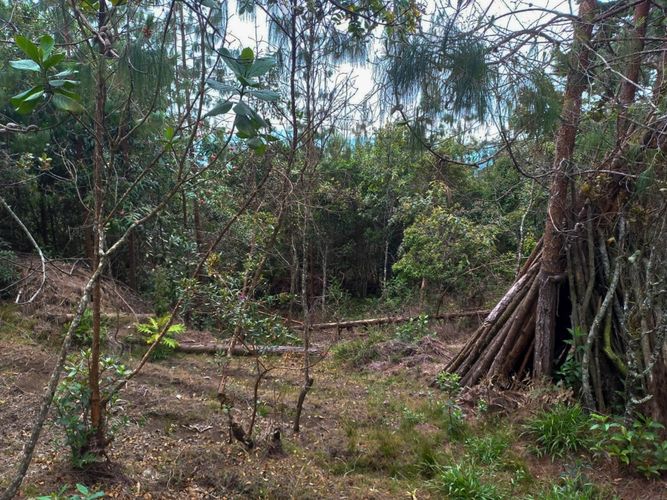 Finca en  Venta en Santa Elena, Medellín - Miniatura 13