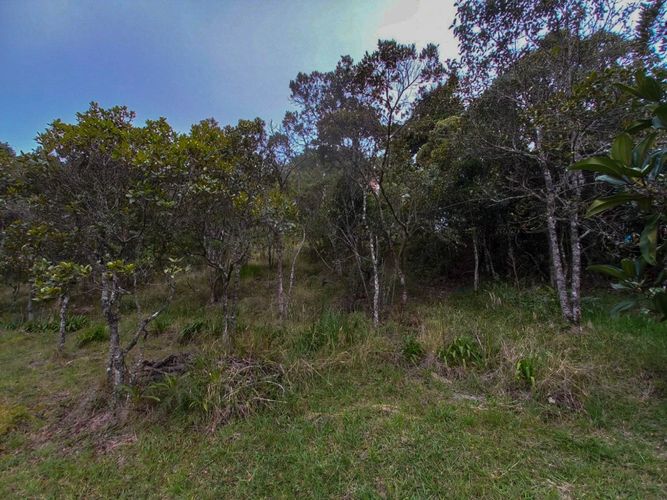 Finca en  Venta en Santa Elena, Medellín - Miniatura 19