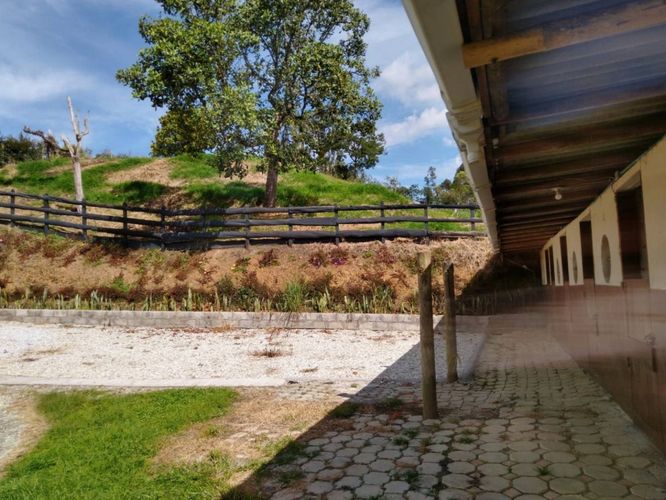 Finca en  Arriendo en El capiro, Rionegro - Miniatura 18