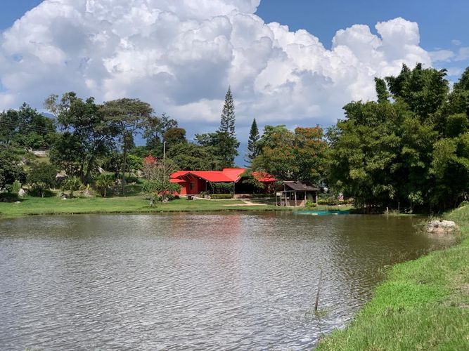 Finca en  Venta en Arbelaez - Imagen 1