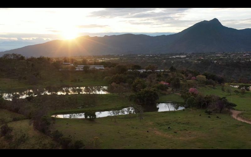 Finca en  Venta en Arbelaez - Miniatura 3