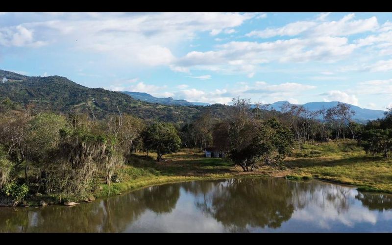 Finca en  Venta en Arbelaez - Miniatura 4