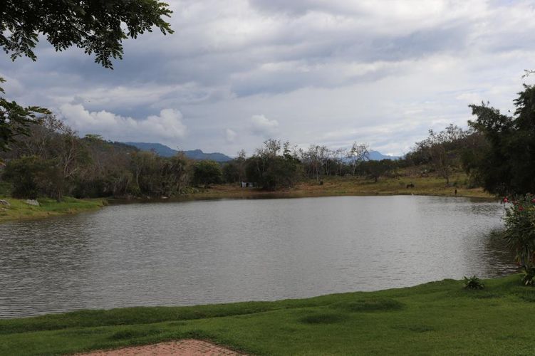 Finca en  Venta en Arbelaez - Miniatura 11