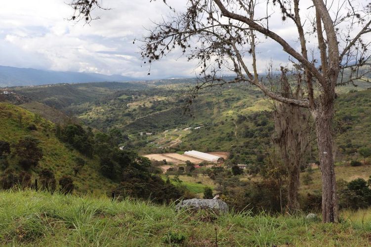 Finca en  Venta en Arbelaez - Miniatura 13