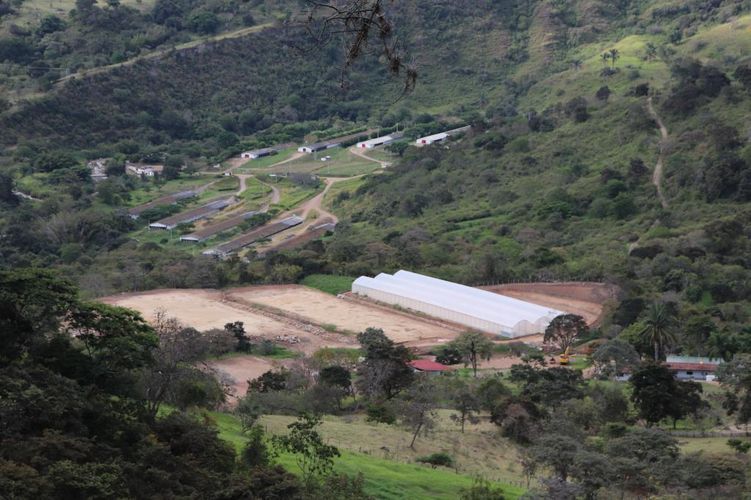 Finca en  Venta en Arbelaez - Miniatura 14