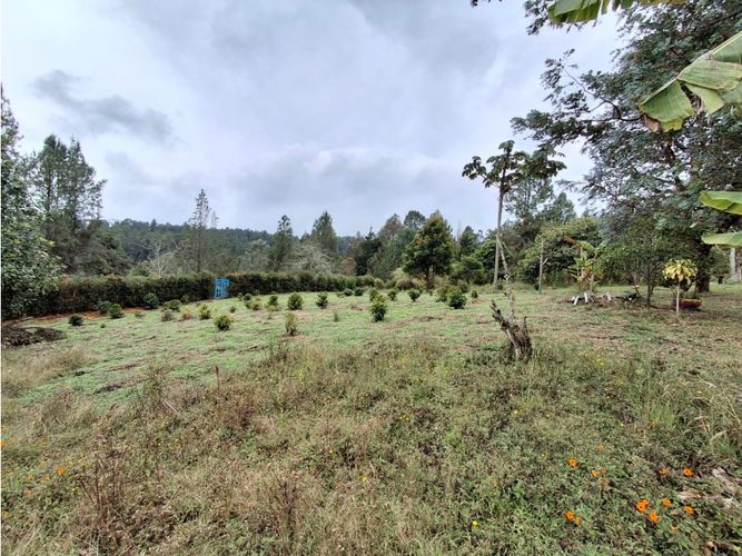Finca en  Venta en Santa Elena, Medellín - Miniatura 16