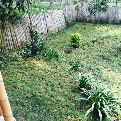 Finca en venta en Viani - Miniatura 3