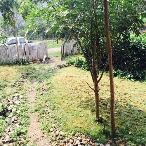 Finca en venta en Viani - Miniatura 4