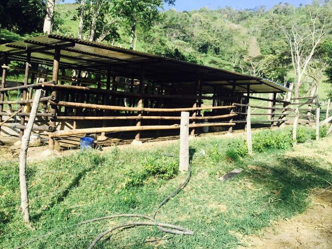 Finca en venta en Viani - Miniatura 16
