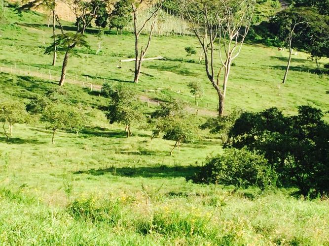 Finca en venta en Viani - Miniatura 20