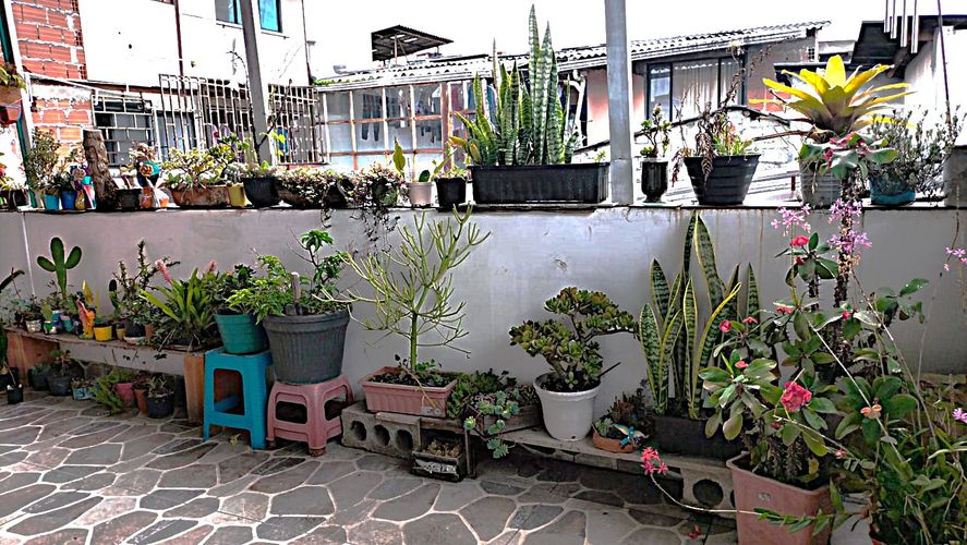 Casa en  Venta en La enea, Manizales - Miniatura 14
