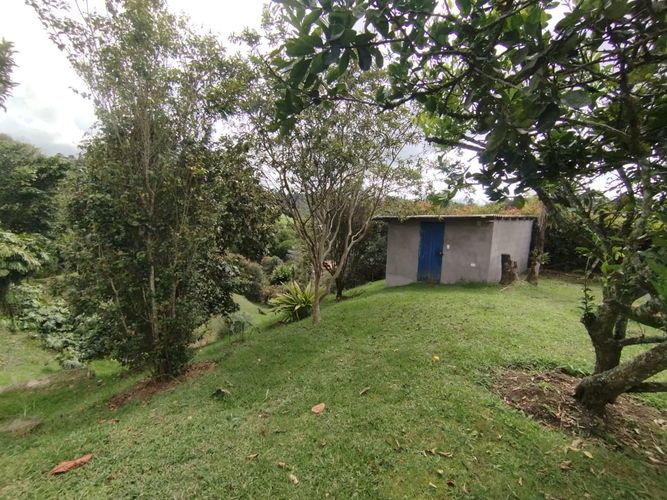 Finca en  Arriendo en Guarne - Miniatura 7