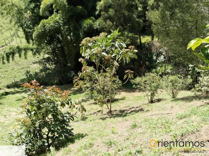 Finca en  Arriendo en Cuchillas de san jose, Rionegro - Miniatura 21
