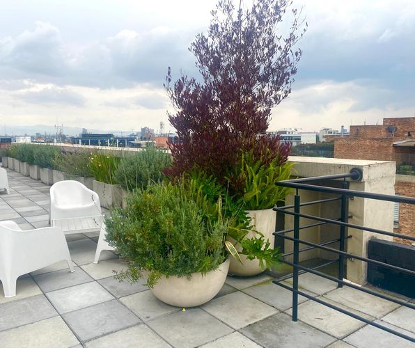 Apartaestudio en  Venta en El Virrey, Bogotá - Miniatura 6