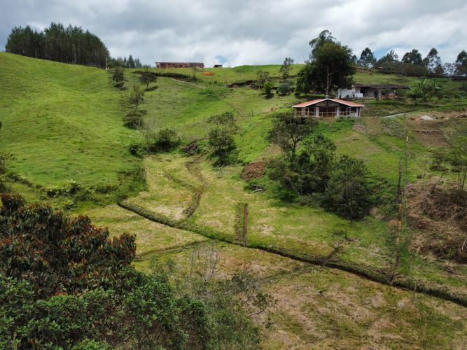 Finca en venta en San vicente - Miniatura 23