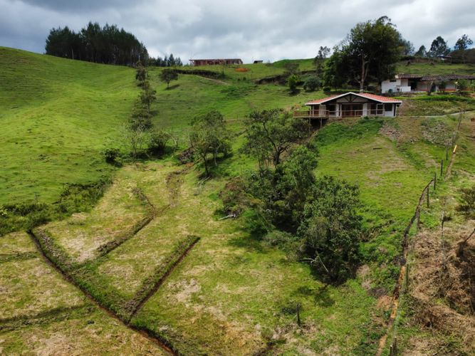 Finca en venta en San vicente - Miniatura 24