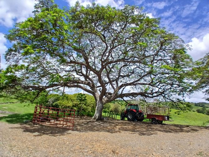 Finca en  Venta en Galicia, Bugalagrande - Miniatura 11