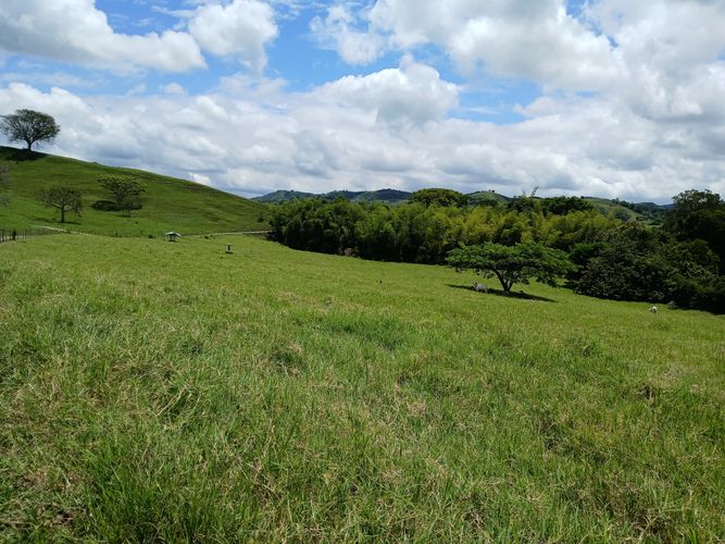 Finca en  Venta en Galicia, Bugalagrande - Miniatura 12